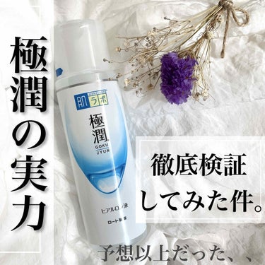 極潤ヒアルロン液（ハダラボモイスト化粧水d） 170mL/肌ラボ/化粧水を使ったクチコミ（1枚目）