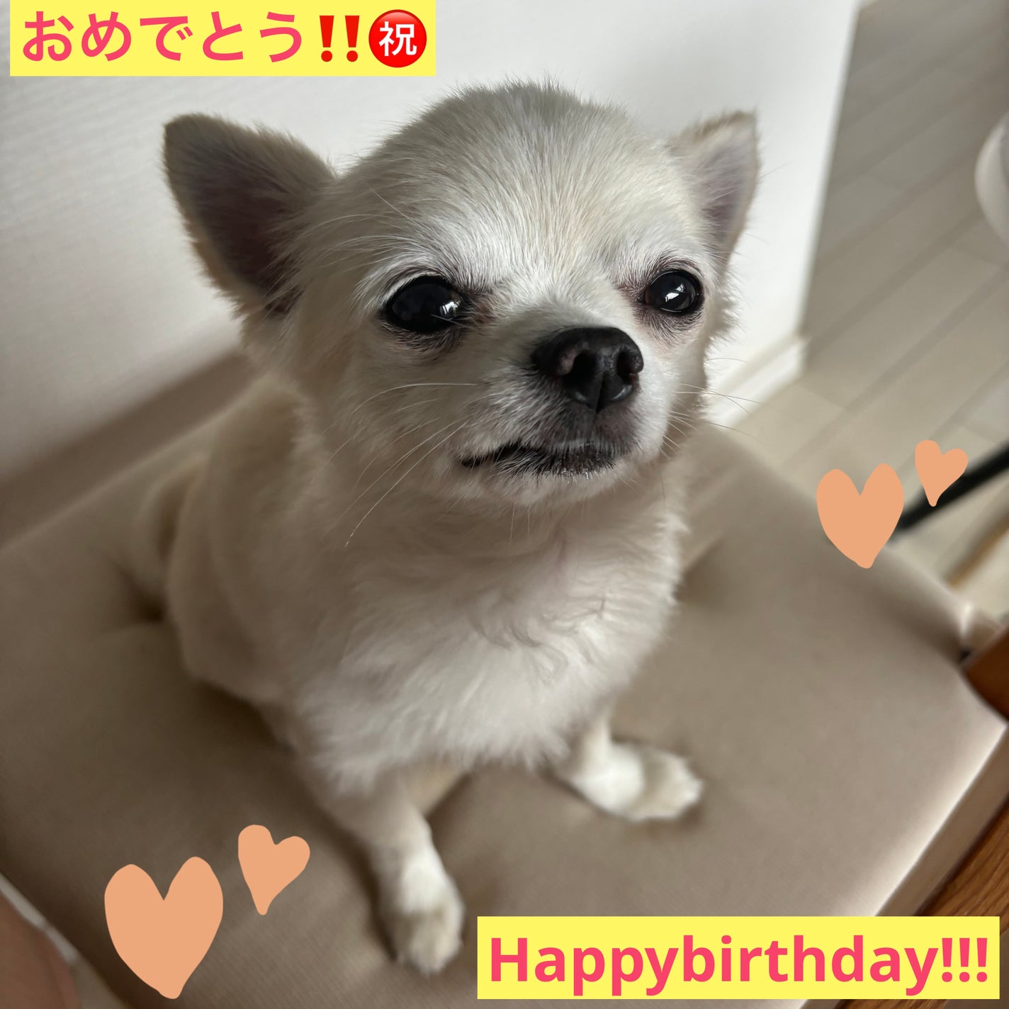 ネイル カラー ポリッシュ/SUQQU/マニキュアを使ったクチコミ(7枚目)