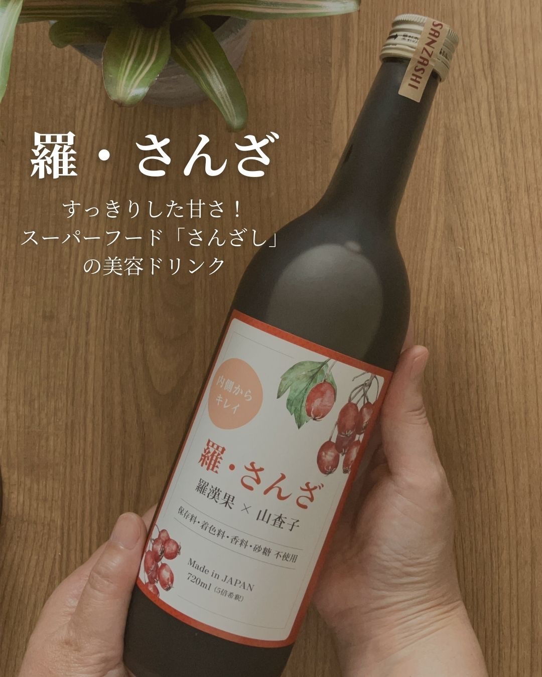 羅・さんざ / 美創