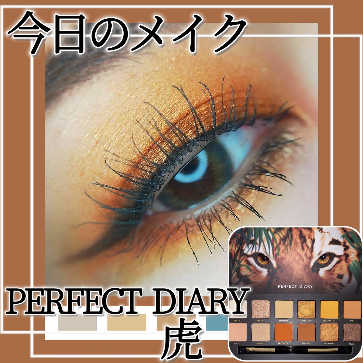 エクスプローラ12色 動物アイシャドウパレット/PERFECT DIARY/アイシャドウパレットを使ったクチコミ(1枚目)