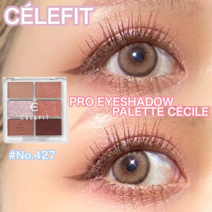 プロアイシャドウパレットセシル/CELEFIT/アイシャドウパレットを使ったクチコミ(1枚目)