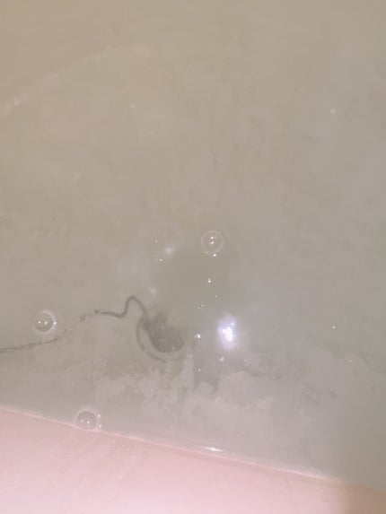 重炭酸入浴剤 moi s cle /アイリスオーヤマ/炭酸系入浴剤を使ったクチコミ(5枚目)