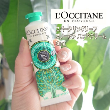 L'OCCITANE/ロクシタン
スパークリングリーフ スノーシア ハンドクリーム
30ml・1,595円


パッケージがとってもオシャレなチューブタイプのハンドクリーム♪
ふわふわテクスチャーで、ま