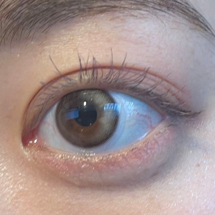 Secretive Kristen/Hapa kristin/カラーコンタクトレンズを使ったクチコミ(2枚目)