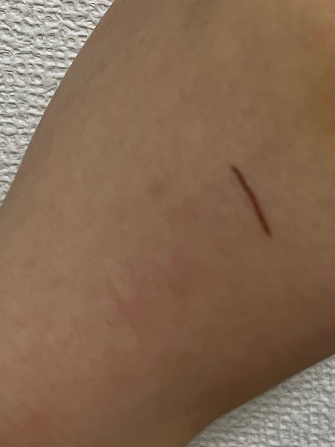 シルキーリキッドアイライナーWP/D-UP/リキッドアイライナーを使ったクチコミ(2枚目)