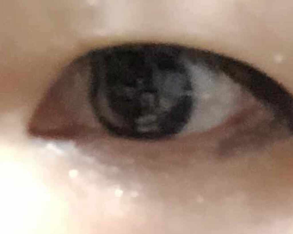 マンガジェニックライナー/KATE/ペンシルアイライナーを使ったクチコミ(3枚目)