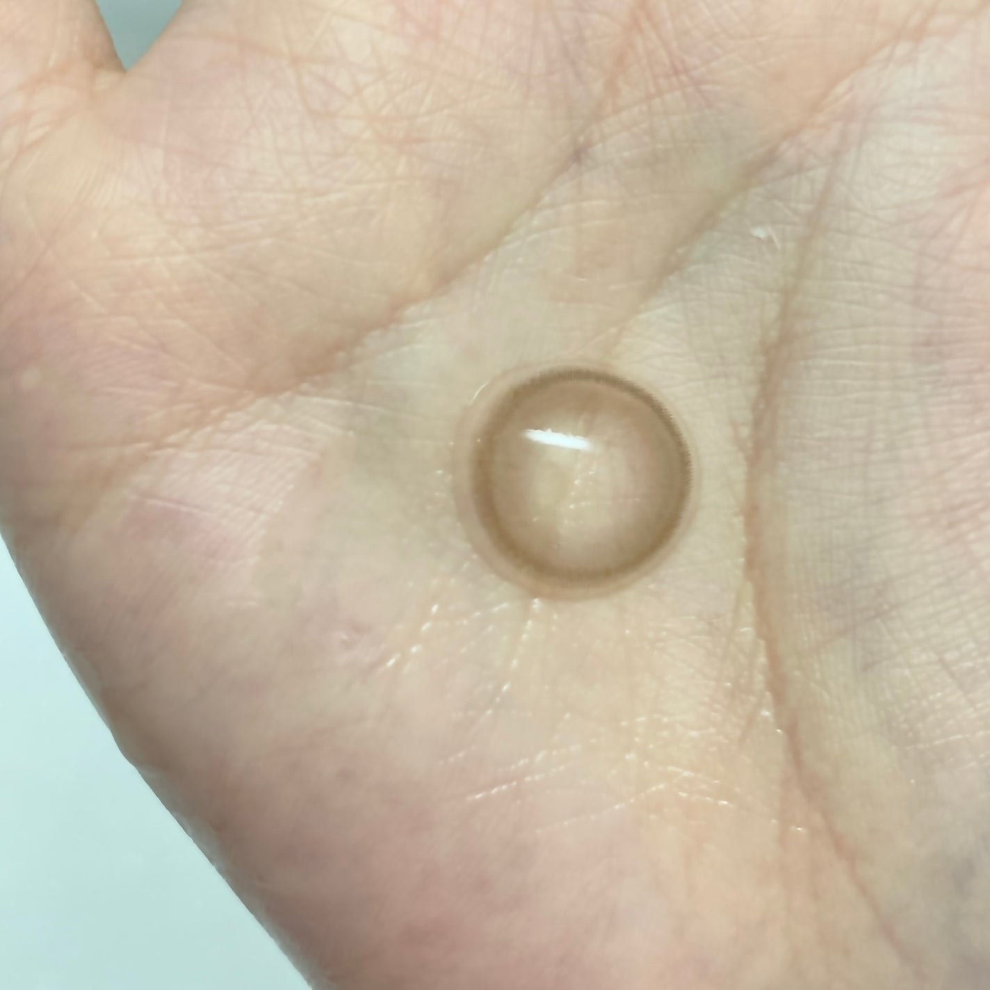 1-DAY Refrear dolemi/Refrear/ワンデー(1DAY)カラコンを使ったクチコミ(3枚目)