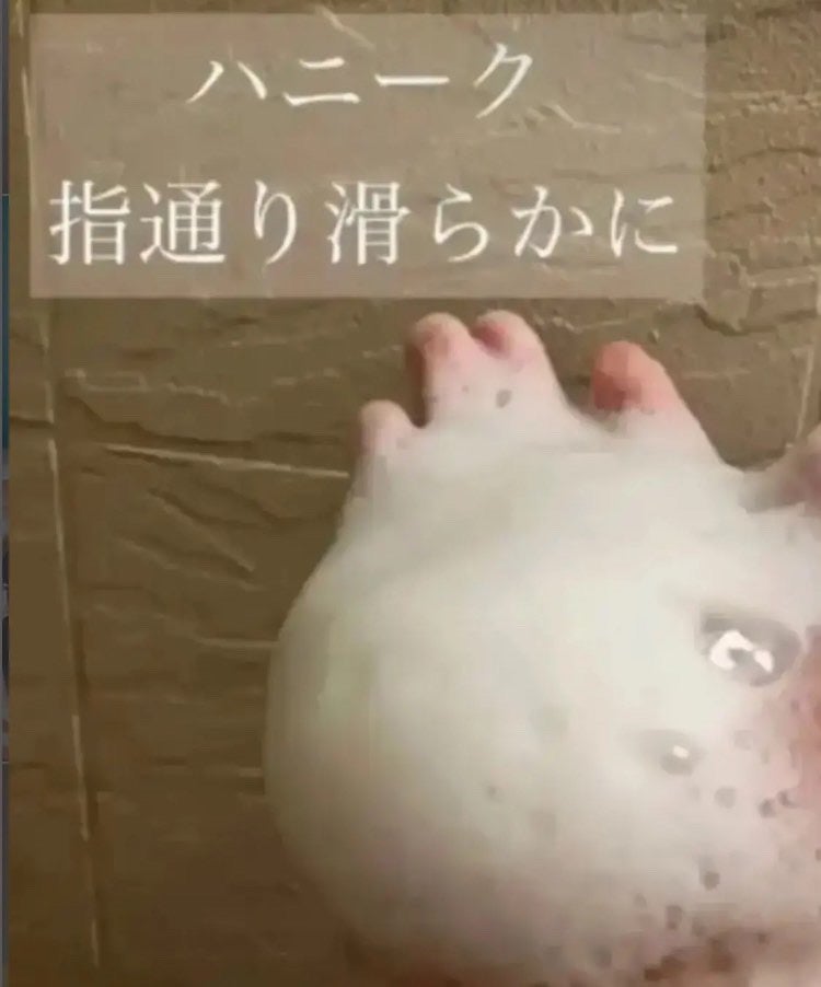 ディープリペア シャンプー モイスト/ヘアトリートメント モイスト/ハニーク/市販シャンプーを使ったクチコミ(1枚目)