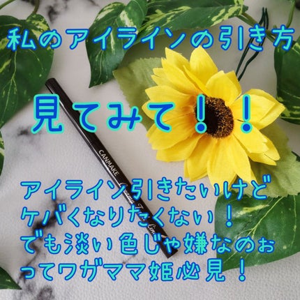 クリーミータッチライナー/キャンメイク/ジェルアイライナーを使ったクチコミ(1枚目)