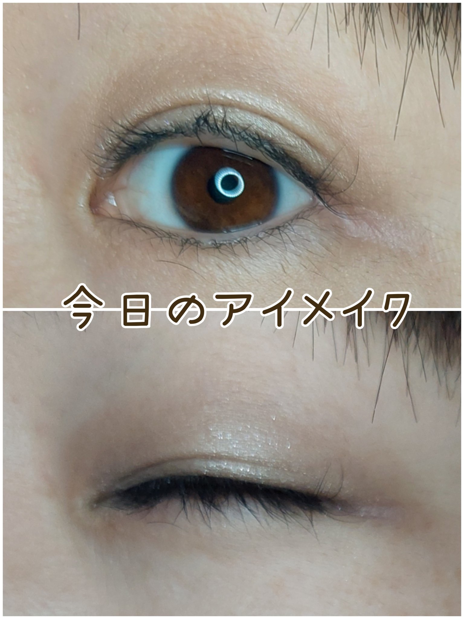 ディーセント アイカラー/アザレ化粧品(アザレプロダクツ)/アイシャドウパレットを使ったクチコミ（1枚目）