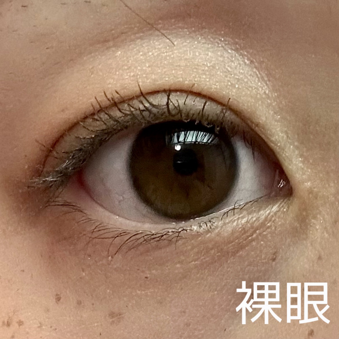 愛ラッシュマスカラR/b idol/マスカラを使ったクチコミ（3枚目）