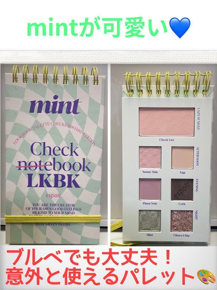 22S/Sルックブック ミントチェック/espoir/アイシャドウパレットを使ったクチコミ(1枚目)