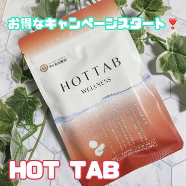 薬用 HOT TAB WELLNESS /HOT TAB/入浴剤を使ったクチコミ（1枚目）