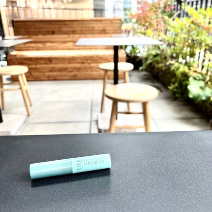 薬用リップクリームセンシティブ/DHC/リップクリームを使ったクチコミ(4枚目)