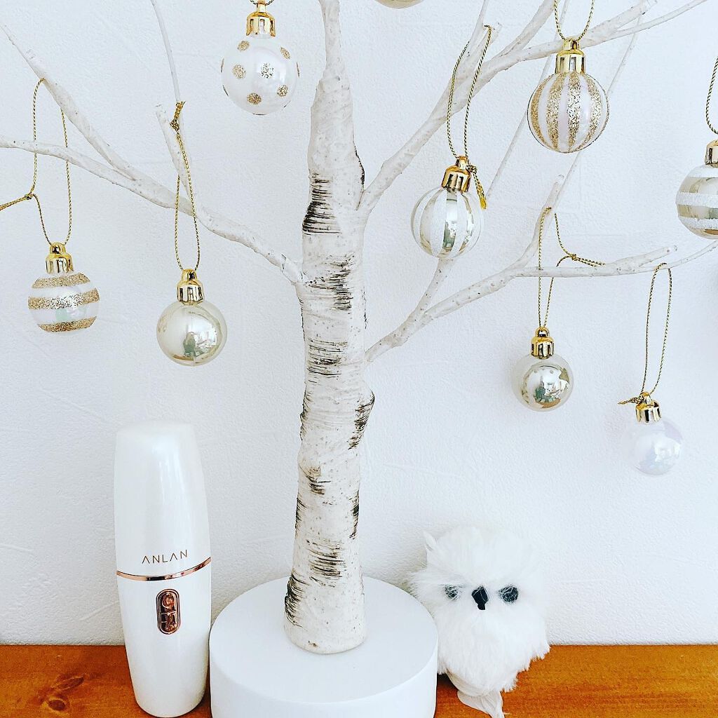 ANLAN 美顔器 RF(ラジオ波) ems/ANLAN/美顔器・マッサージを使ったクチコミ（1枚目）