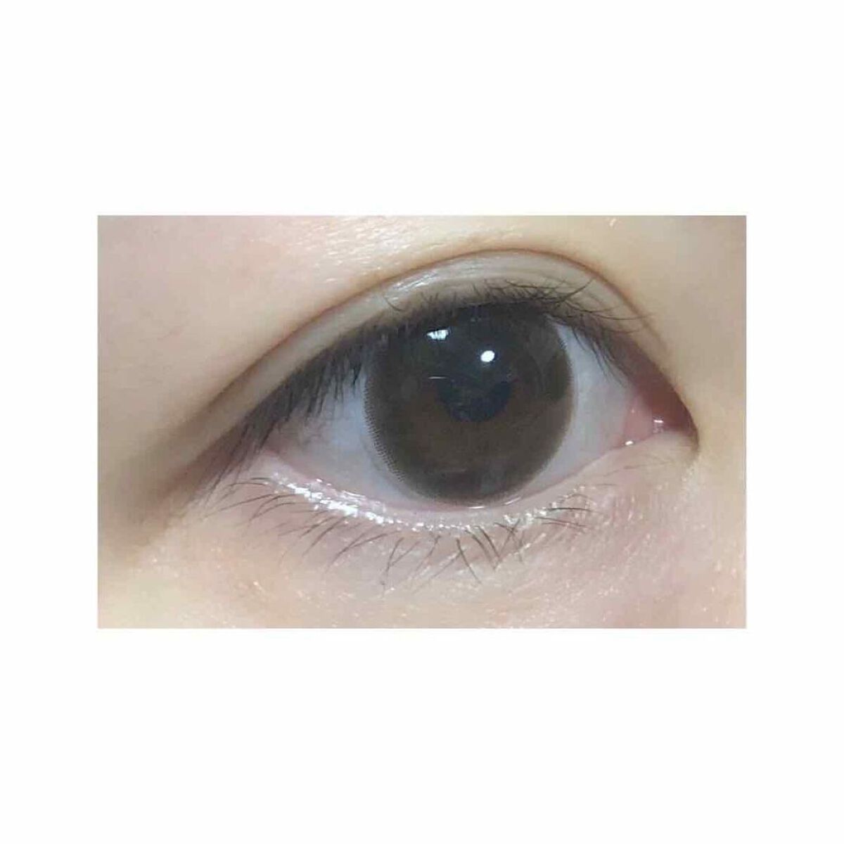 ReVIA 1day [CIRCLE] BROWN（ブラウン）