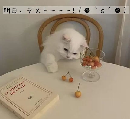 BHクリアノーズパック EX/CucuporeC/シートマスク・パックを使ったクチコミ(1枚目)