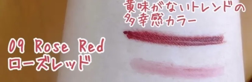 ブロウインクカラーティントデュオ/MAYBELLINE NEW YORK/アイブロウペンシルを使ったクチコミ（2枚目）