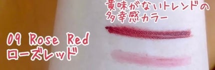 MAYBELLINE NEW YORK ブロウインクカラーティントデュオのクチコミ「MAYBELLINE NEW YORK
ブロウインク カラーティントデュオ
09 ローズレッド.....」(2枚目)