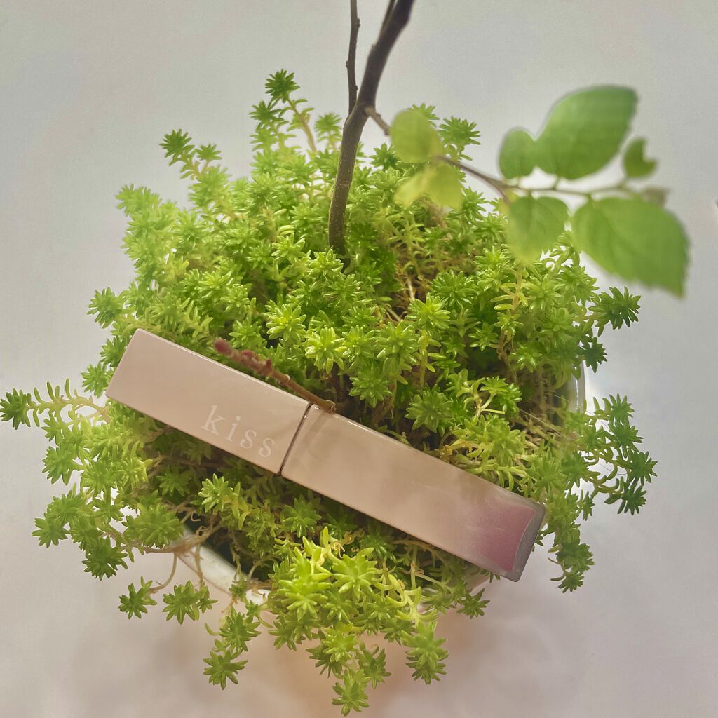 リップアーマー/KiSS/口紅を使ったクチコミ（1枚目）