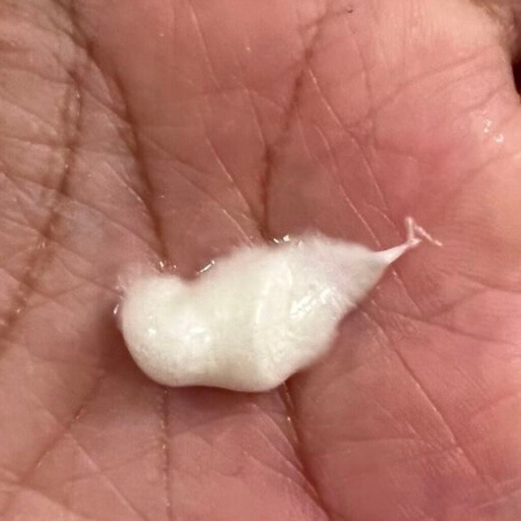 フィラデルム モイスチャークリーム/アンブリオリス/フェイスクリームを使ったクチコミ(2枚目)