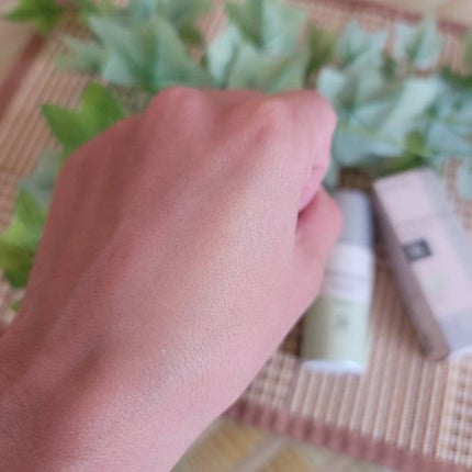 スキンプロテクトベース<皮脂くずれ防止>SPF50/プリマヴィスタ/化粧下地を使ったクチコミ(3枚目)