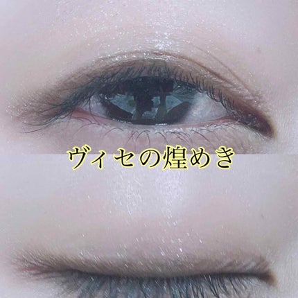 スキニーリッチシャドウ/excel/アイシャドウパレットを使ったクチコミ(3枚目)