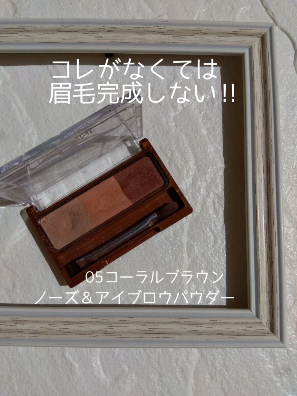 ノーズ&アイブロウパウダー/CEZANNE/パウダーアイブロウを使ったクチコミ(1枚目)