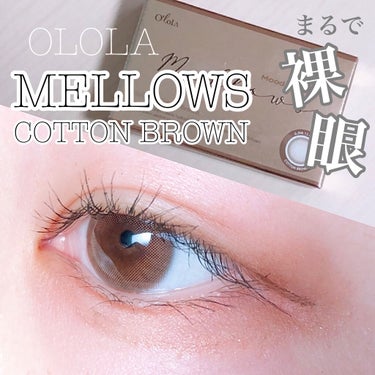 メローズ(Mellows)/OLOLA/カラーコンタクトレンズを使ったクチコミ（1枚目）