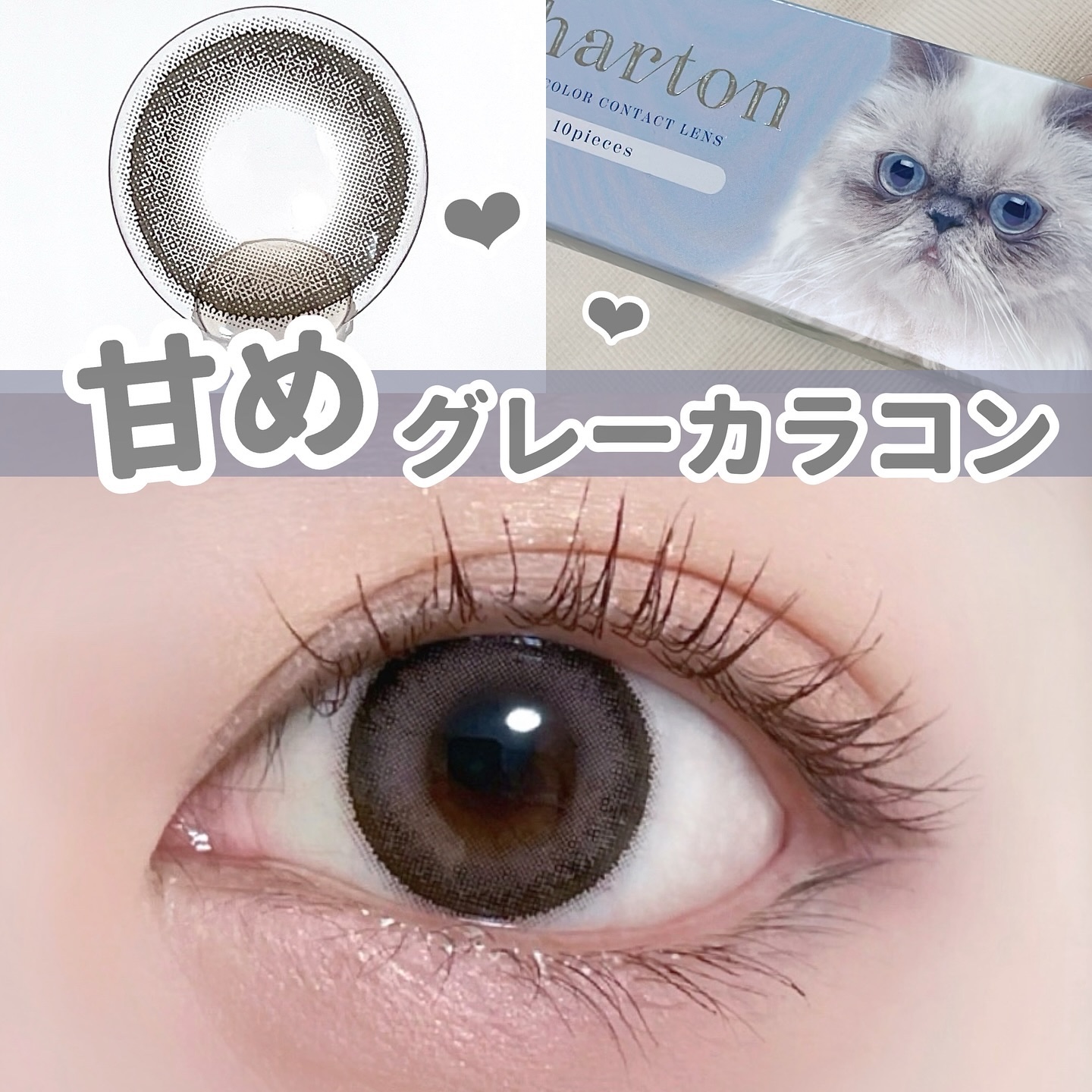 Charton 1day コーヒーブラウニー/Charton/ワンデー（１DAY）カラコンを使ったクチコミ（1枚目）