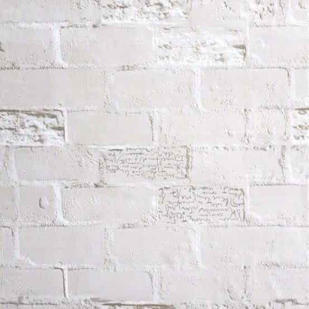 オペラ リップティント N/OPERA/リップティントを使ったクチコミ（1枚目）