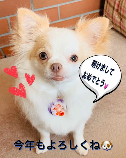 ひろろん  on LIPS 「     🎍謹賀新年🎍明けまして  おめでとうございます🙇♀..」(1枚目)