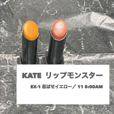 


☑︎KATE　リップモンスター　11　5:00AM
夜明け前の静けさを秘めた、ダークブラウン

こちらはweb限定色でAmazonでたしか買いました☺️
今は中々手に入らないそうです…買っててよか