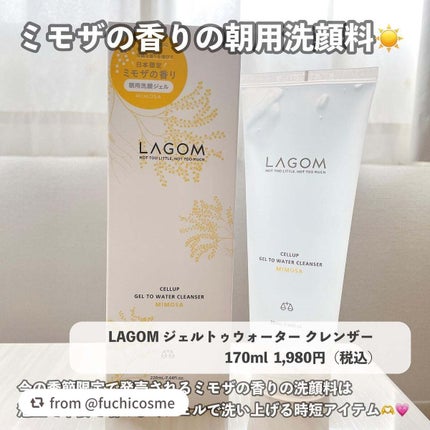 ラゴム ジェルトゥウォーター クレンザー(朝用洗顔)/LAGOM /その他洗顔料を使ったクチコミ(1枚目)