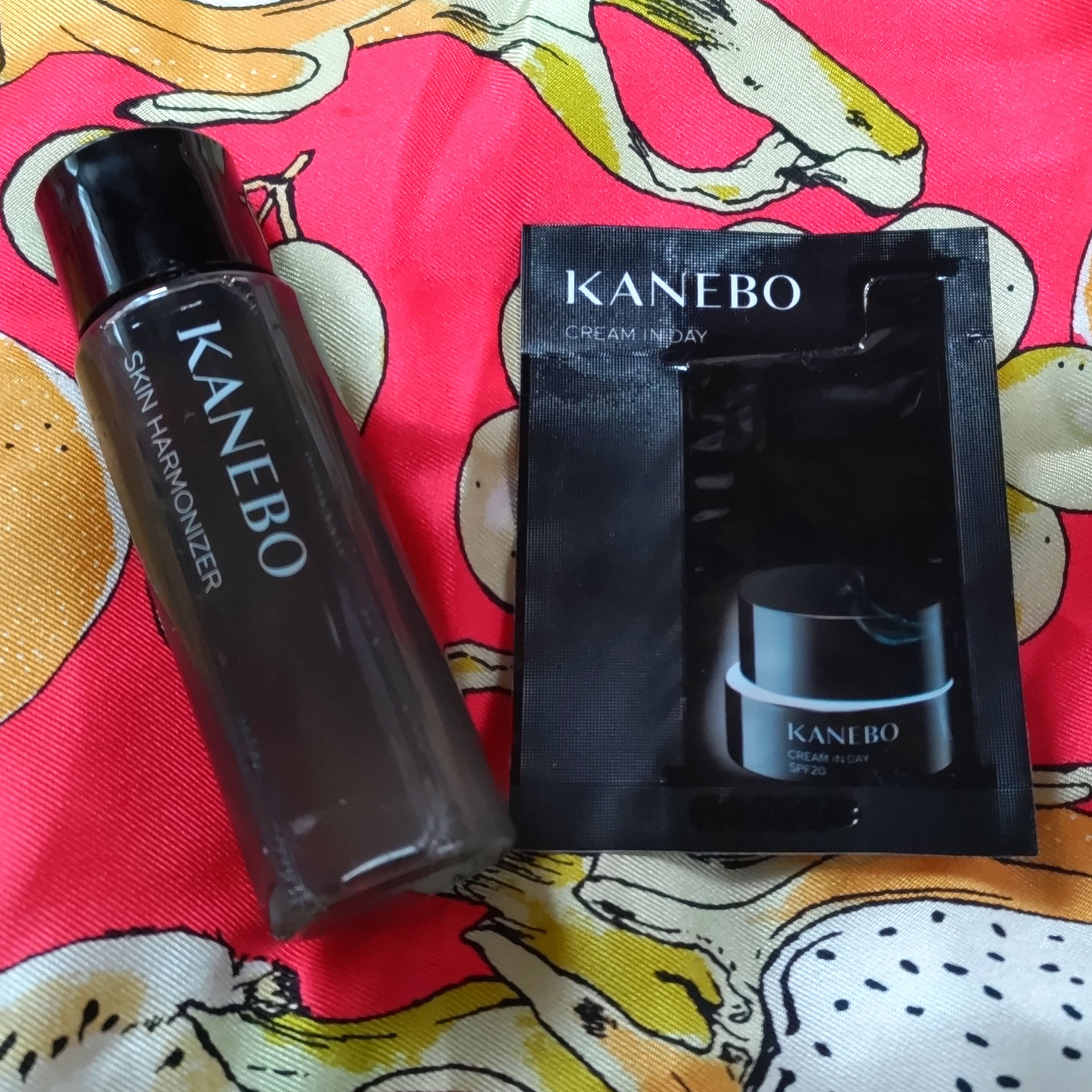 クリーム　イン　デイ/KANEBO/フェイスクリームを使ったクチコミ（1枚目）