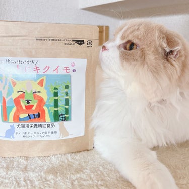 Machiko@フォロバします♡ on LIPS 「うちの愛猫は1歳ながら体調を崩しがちで食生活の見直しを定期的に..」（1枚目）
