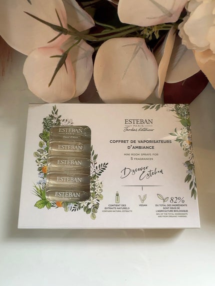 インテリアガーデン ナチュール ラタンブーケ ディフューザー /ESTEBAN/ルームフレグランスを使ったクチコミ(5枚目)