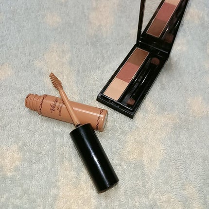 ヴィセ リシェ アイブロウパウダー/Visée/パウダーアイブロウを使ったクチコミ(2枚目)