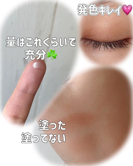 ラスティングマルチアイベース WP/キャンメイク/アイシャドウベースを使ったクチコミ(2枚目)