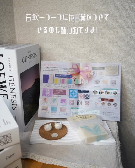 hyonað§žãã©ããããŸãð on LIPS ãæè¿åºåœ¢ç³é¹žã«ããã£ãŠããç§âŠèŠãç®ã坿ããŠããèã«åªããã·..ãïŒ5æç®ïŒ