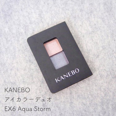 カネボウ アイカラーデュオ EX6 Aqua Storm/KANEBO/アイシャドウパレットを使ったクチコミ（1枚目）