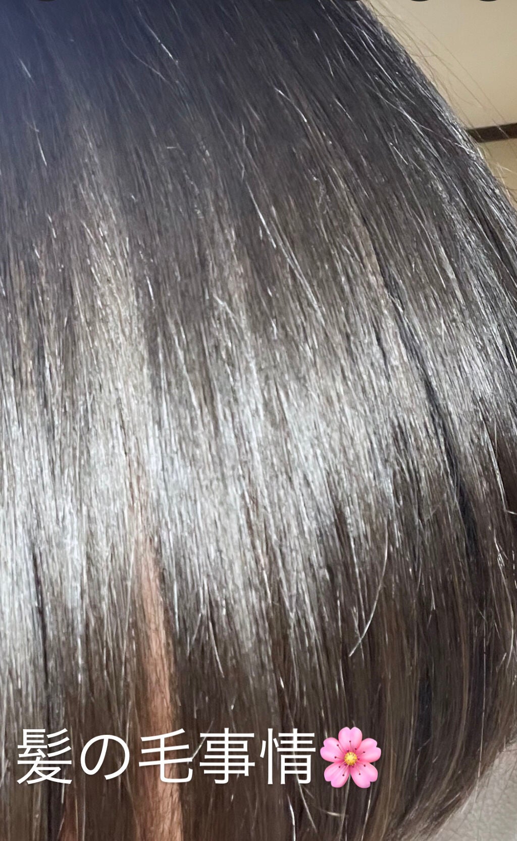 トリートメント シルキーシャイニー さらツヤタイプ/ジェミールフラン/洗い流すヘアトリートメントを使ったクチコミ(1枚目)
