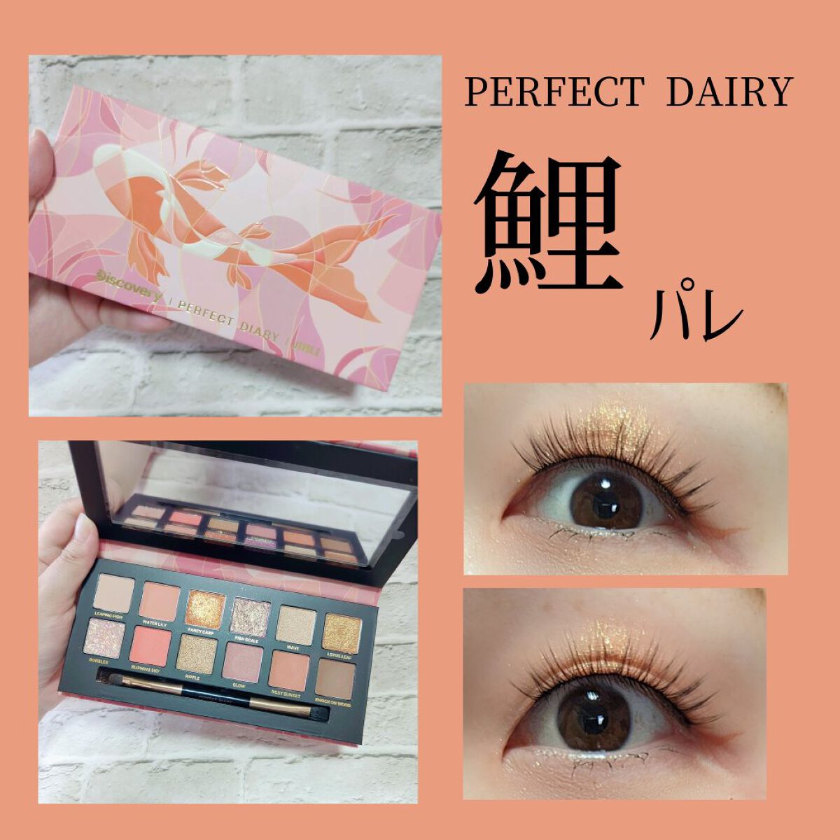 エクスプローラ12色 動物アイシャドウパレット/PERFECT DIARY/アイシャドウパレットを使ったクチコミ（1枚目）