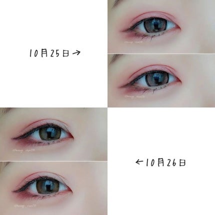 ニュアンス マット クリエイター/Visée/アイシャドウパレットを使ったクチコミ(6枚目)