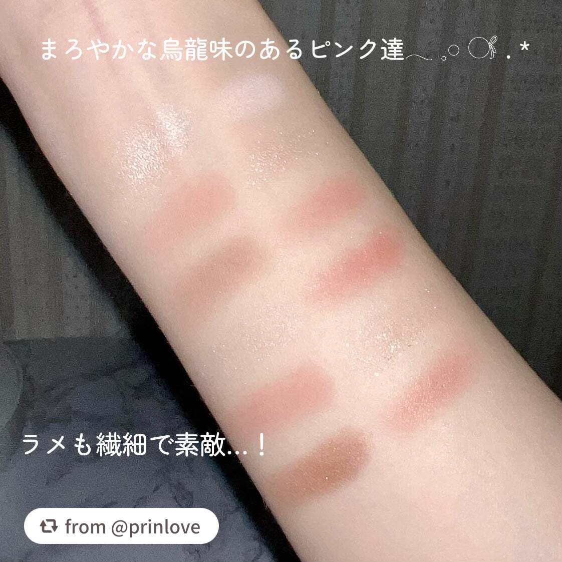 エクスプローラ12色 動物アイシャドウパレット/PERFECT DIARY/アイシャドウパレットを使ったクチコミ(3枚目)