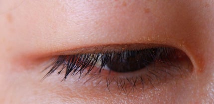 エクスプローラ12色 動物アイシャドウパレット/PERFECT DIARY/アイシャドウパレットを使ったクチコミ(4枚目)