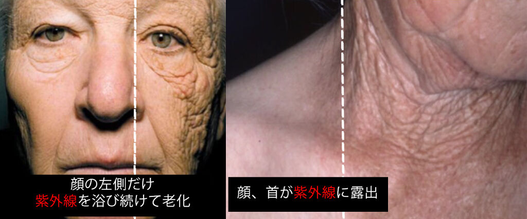 UVプロテクター トーンアップ/HERA/日焼け止めクリームを使ったクチコミ（2枚目）