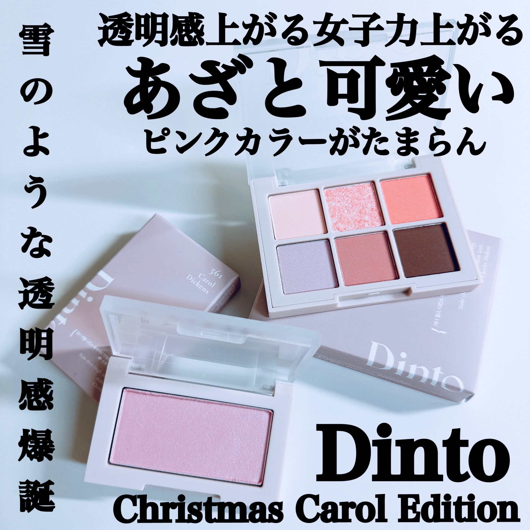 ブラーフィニシュシャドウパレット/Dinto/アイシャドウパレットを使ったクチコミ（1枚目）