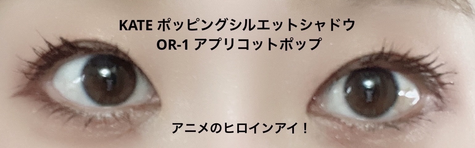 ケイト ポッピングシルエットシャドウ/KATE/アイシャドウパレットを使ったクチコミ（3枚目）