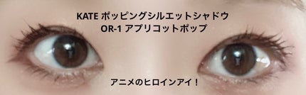 プランぷくコーデアイズ/キャンメイク/パウダーアイシャドウを使ったクチコミ(3枚目)